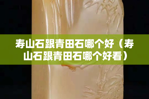 壽山石跟青田石哪個(gè)好（壽山石跟青田石哪個(gè)好看）