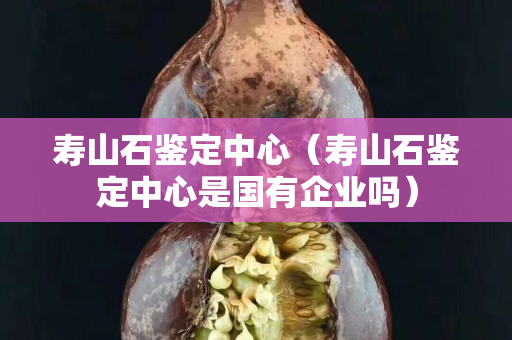 壽山石鑒定中心（壽山石鑒定中心是國有企業嗎）