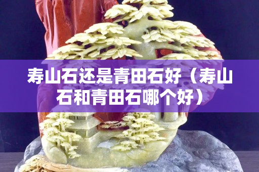 壽山石還是青田石好（壽山石和青田石哪個好）