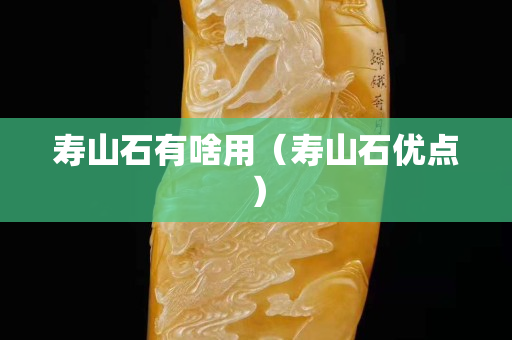 壽山石有啥用（壽山石優點）