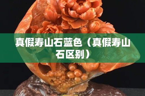 真假壽山石藍色（真假壽山石區別）