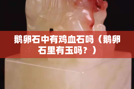 鵝卵石中有雞血石嗎（鵝卵石里有玉嗎？）