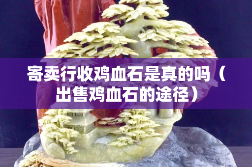 寄賣行收雞血石是真的嗎（出售雞血石的途徑）