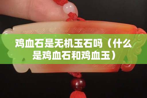 雞血石是無機玉石嗎（什么是雞血石和雞血玉）
