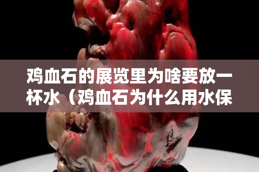 雞血石的展覽里為啥要放一杯水（雞血石為什么用水保養(yǎng)）