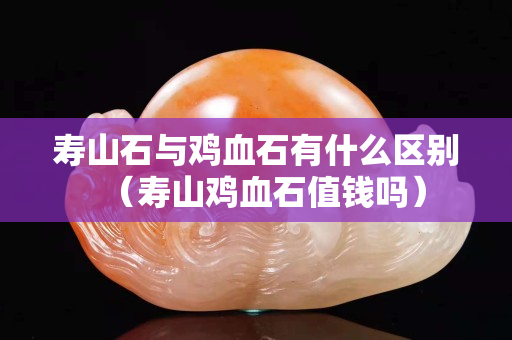 壽山石與雞血石有什么區別（壽山雞血石值錢嗎）