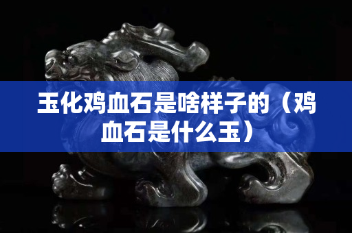 玉化雞血石是啥樣子的（雞血石是什么玉）