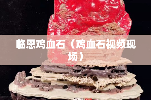 臨恩雞血石（雞血石視頻現(xiàn)場(chǎng)）