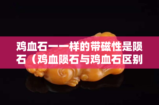 雞血石一一樣的帶磁性是隕石（雞血隕石與雞血石區別）