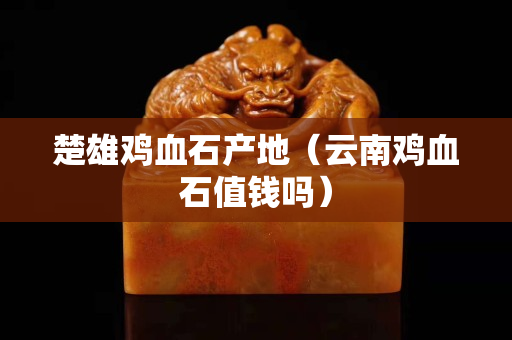 楚雄雞血石產地（云南雞血石值錢嗎）