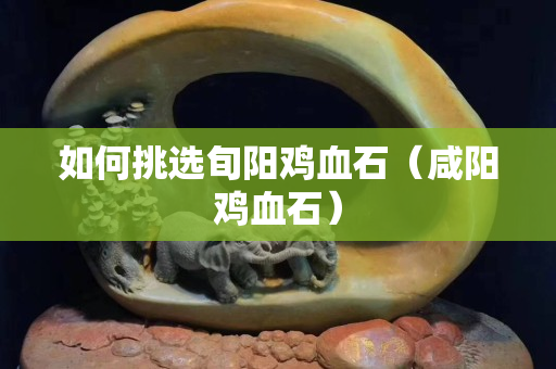 如何挑選旬陽雞血石（咸陽雞血石）