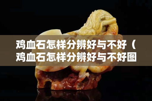 雞血石怎樣分辨好與不好（雞血石怎樣分辨好與不好圖片）