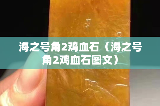 海之號角2雞血石（海之號角2雞血石圖文）