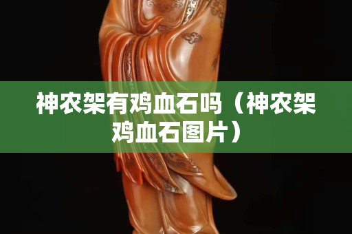 神農(nóng)架有雞血石嗎（神農(nóng)架雞血石圖片）