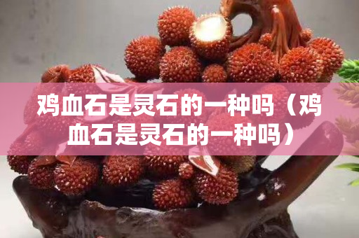 雞血石是靈石的一種嗎（雞血石是靈石的一種嗎）