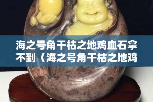 海之號角干枯之地雞血石拿不到（海之號角干枯之地雞血石拿不了）
