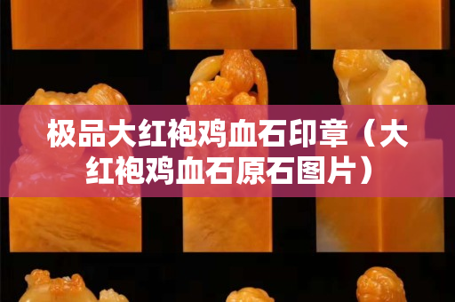 極品大紅袍雞血石印章（大紅袍雞血石原石圖片）