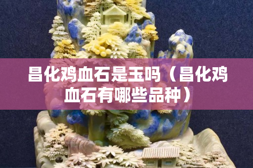 昌化雞血石是玉嗎（昌化雞血石有哪些品種）