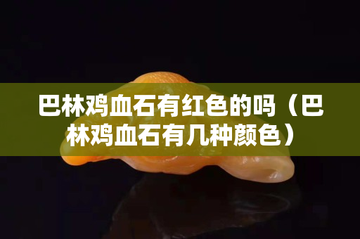 巴林雞血石有紅色的嗎（巴林雞血石有幾種顏色）