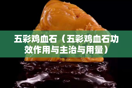 五彩雞血石（五彩雞血石功效作用與主治與用量）