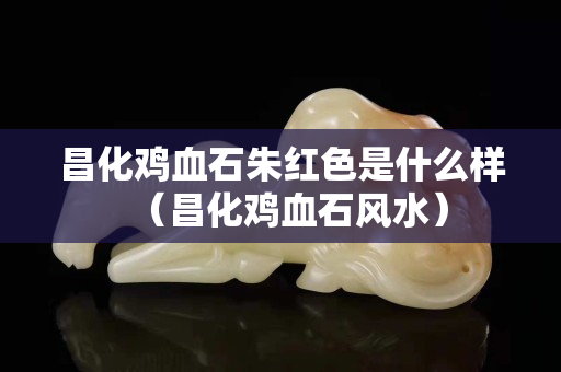 昌化雞血石朱紅色是什么樣（昌化雞血石風(fēng)水）