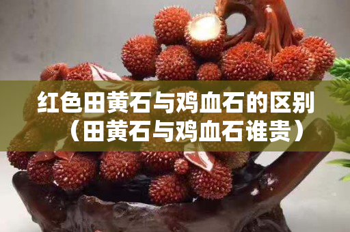 紅色田黃石與雞血石的區別（田黃石與雞血石誰貴）