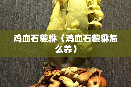 雞血石貔貅（雞血石貔貅怎么養）