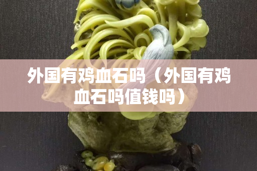 外國有雞血石嗎（外國有雞血石嗎值錢嗎）