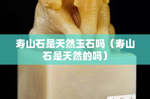 壽山石是天然玉石嗎（壽山石是天然的嗎）