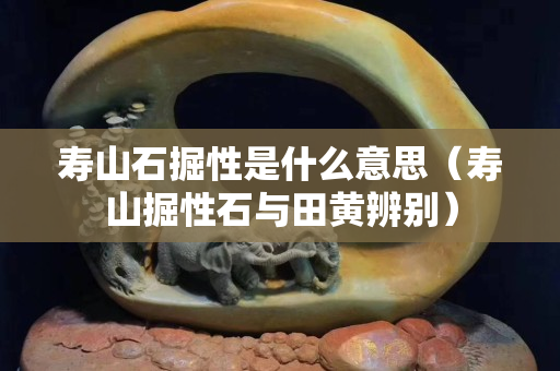壽山石掘性是什么意思（壽山掘性石與田黃辨別）