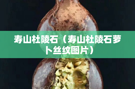 壽山杜陵石（壽山杜陵石蘿卜絲紋圖片）