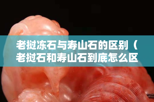 老撾凍石與壽山石的區別（老撾石和壽山石到底怎么區分？）