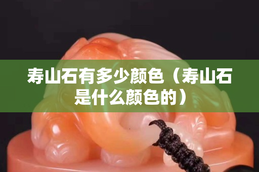 壽山石有多少顏色（壽山石是什么顏色的）