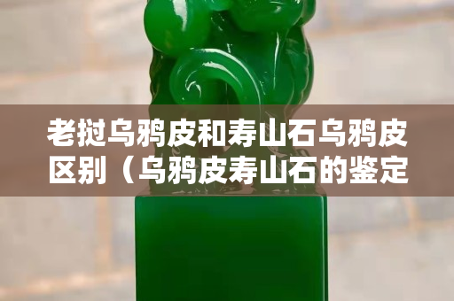 老撾烏鴉皮和壽山石烏鴉皮區別（烏鴉皮壽山石的鑒定）