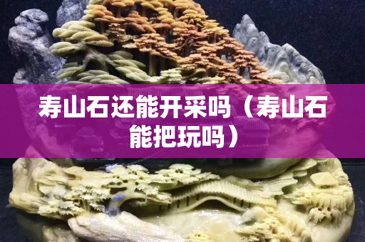 壽山石還能開采嗎（壽山石能把玩嗎）
