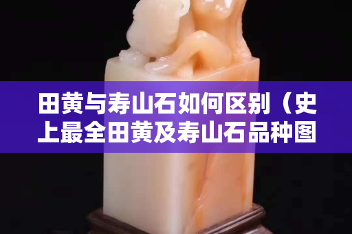 田黃與壽山石如何區(qū)別（史上最全田黃及壽山石品種圖解）