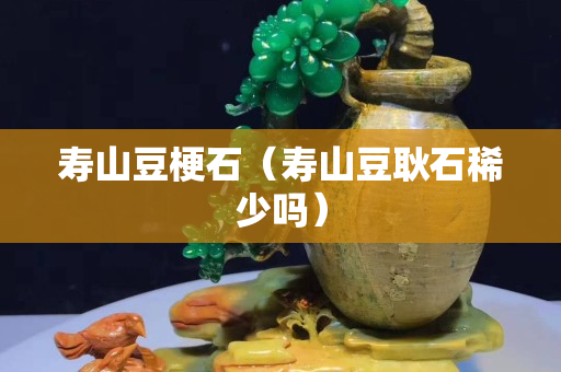 壽山豆梗石（壽山豆耿石稀少嗎）