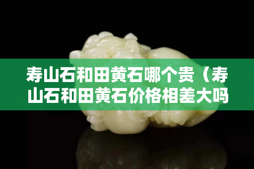 壽山石和田黃石哪個貴（壽山石和田黃石價格相差大嗎）
