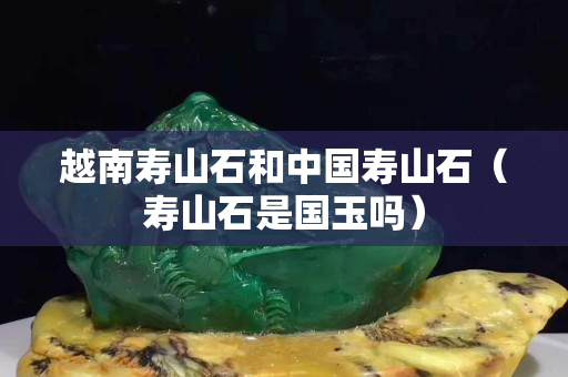 越南壽山石和中國壽山石（壽山石是國玉嗎）