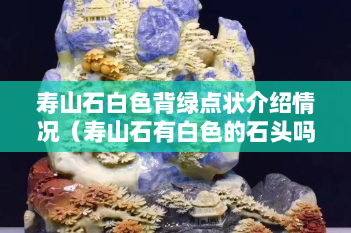 壽山石白色背綠點狀介紹情況（壽山石有白色的石頭嗎）