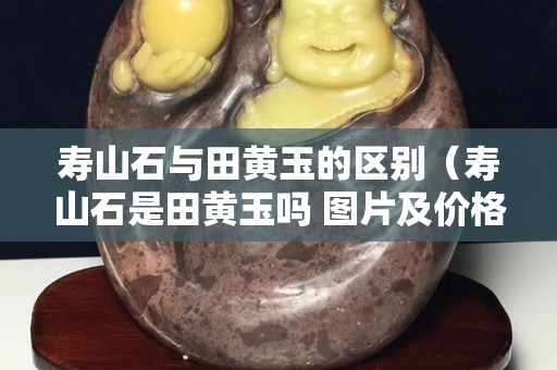壽山石與田黃玉的區(qū)別（壽山石是田黃玉嗎 圖片及價(jià)格）