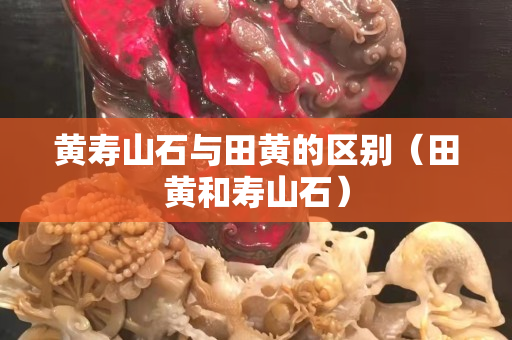 黃壽山石與田黃的區別（田黃和壽山石）
