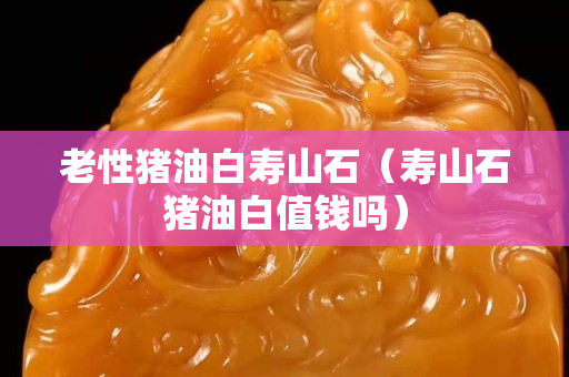 老性豬油白壽山石（壽山石豬油白值錢嗎）