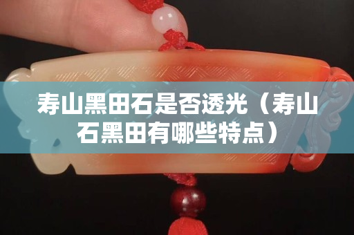 壽山黑田石是否透光（壽山石黑田有哪些特點）