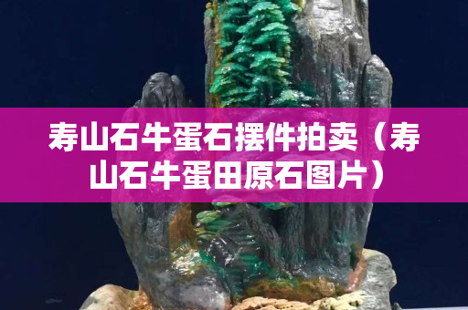 壽山石牛蛋石擺件拍賣（壽山石牛蛋田原石圖片）