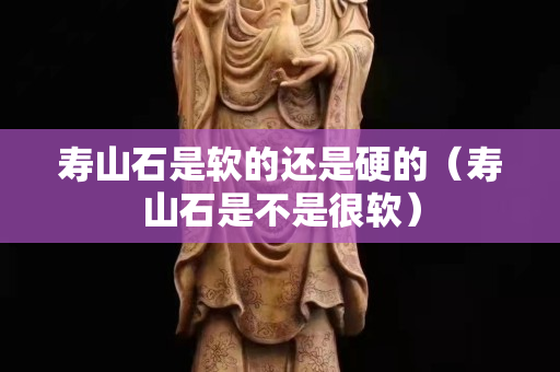 壽山石是軟的還是硬的（壽山石是不是很軟）