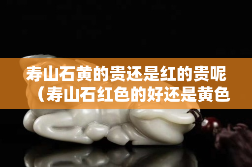 壽山石黃的貴還是紅的貴呢（壽山石紅色的好還是黃色的好）