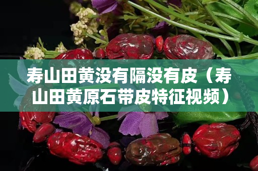 壽山田黃沒有隔沒有皮（壽山田黃原石帶皮特征視頻）