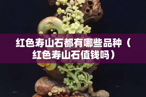 紅色壽山石都有哪些品種（紅色壽山石值錢嗎）
