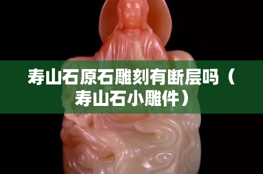 壽山石原石雕刻有斷層嗎（壽山石小雕件）